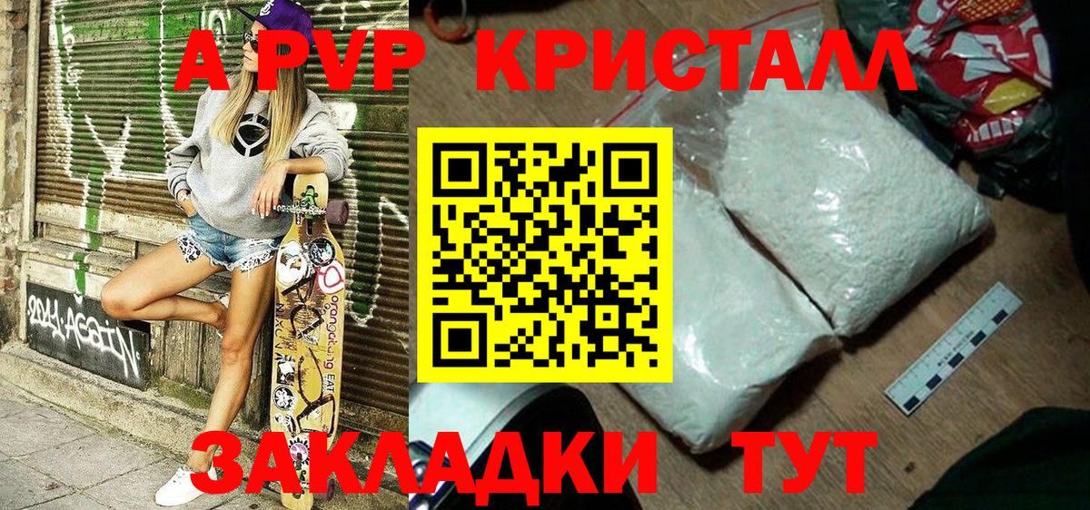 A-PVP СК КРИС Аргун