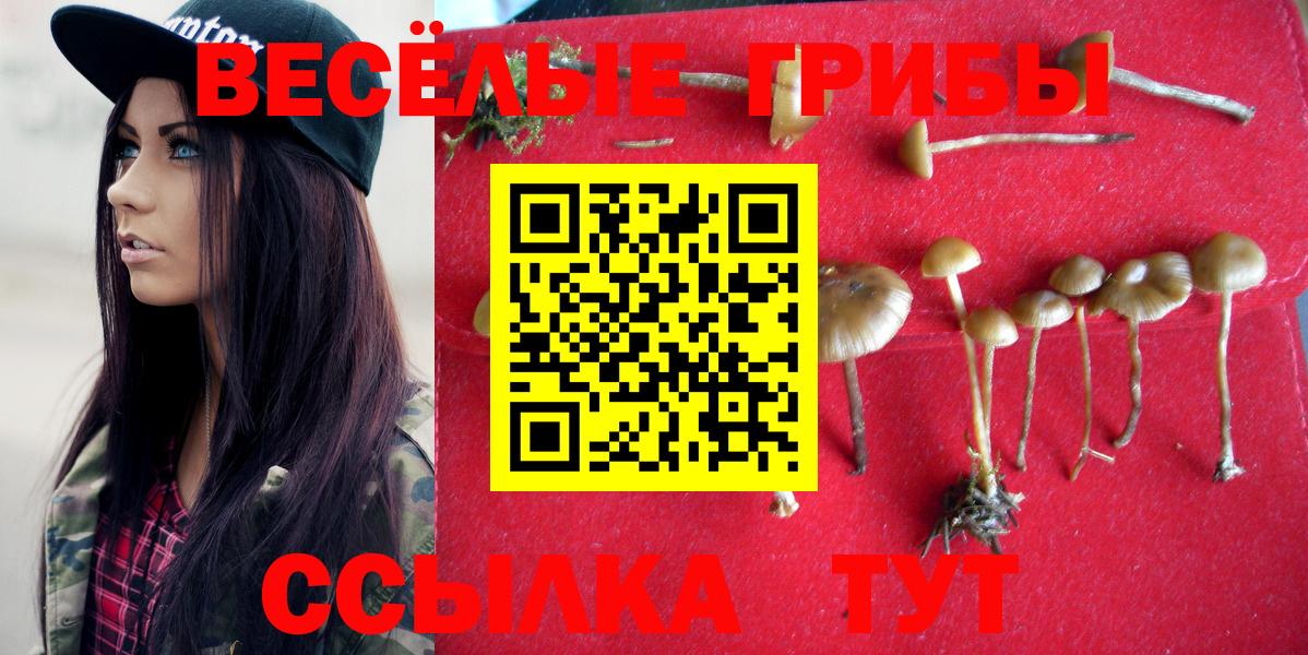 Псилоцибиновые грибы Psilocybe Аргун